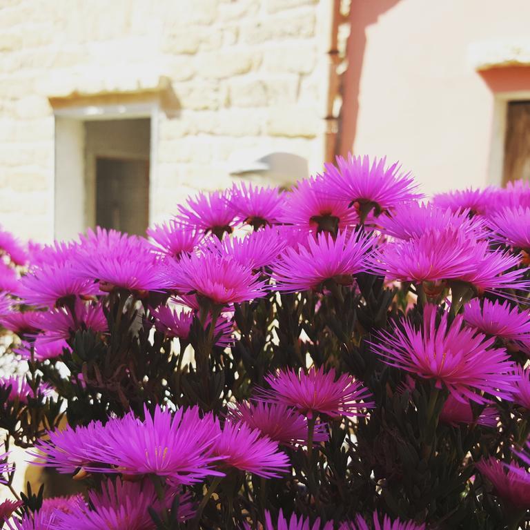 B&B Cinisi Vacanze Экстерьер фото